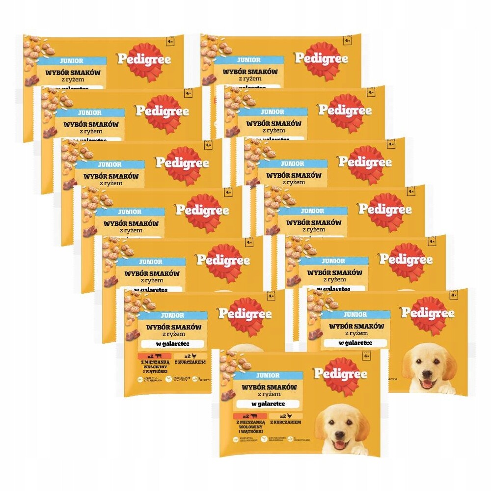 Pedigree Junior sáček 13x (4x100 g) Výběr příchutí s rýží v želé