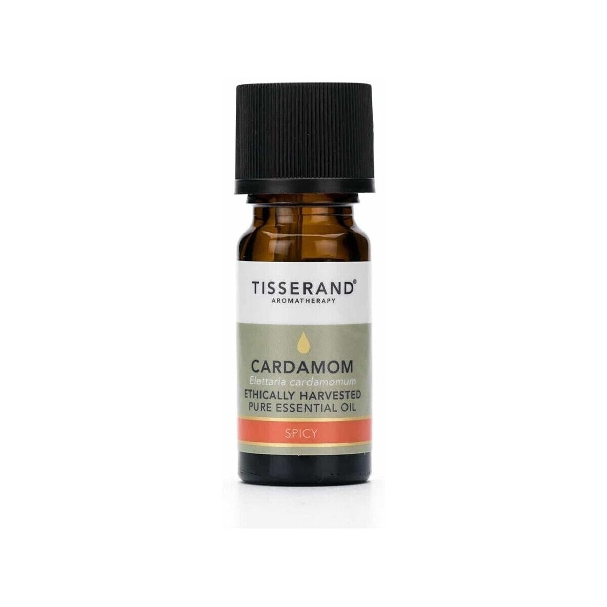 Tisserand Aromatherapy  Cardamom Ethically Harvested  ruznobarevne