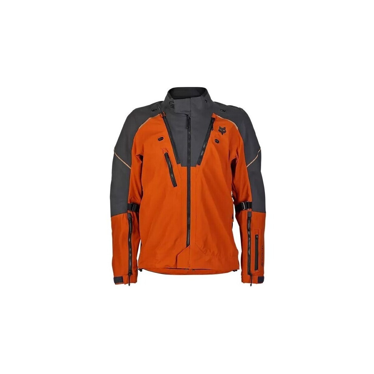 Fox  28367113  ruznobarevne