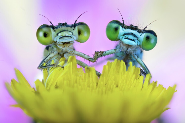 Alberto Ghizzi Panizza Fotografie Take My Hand, Alberto Ghizzi Panizza, 40 × 26.7 cm