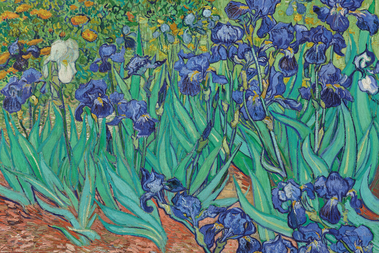 Europosters Plakát, Obraz - Vincent van Gogh - Les Irises, 91.5 × 61 cm