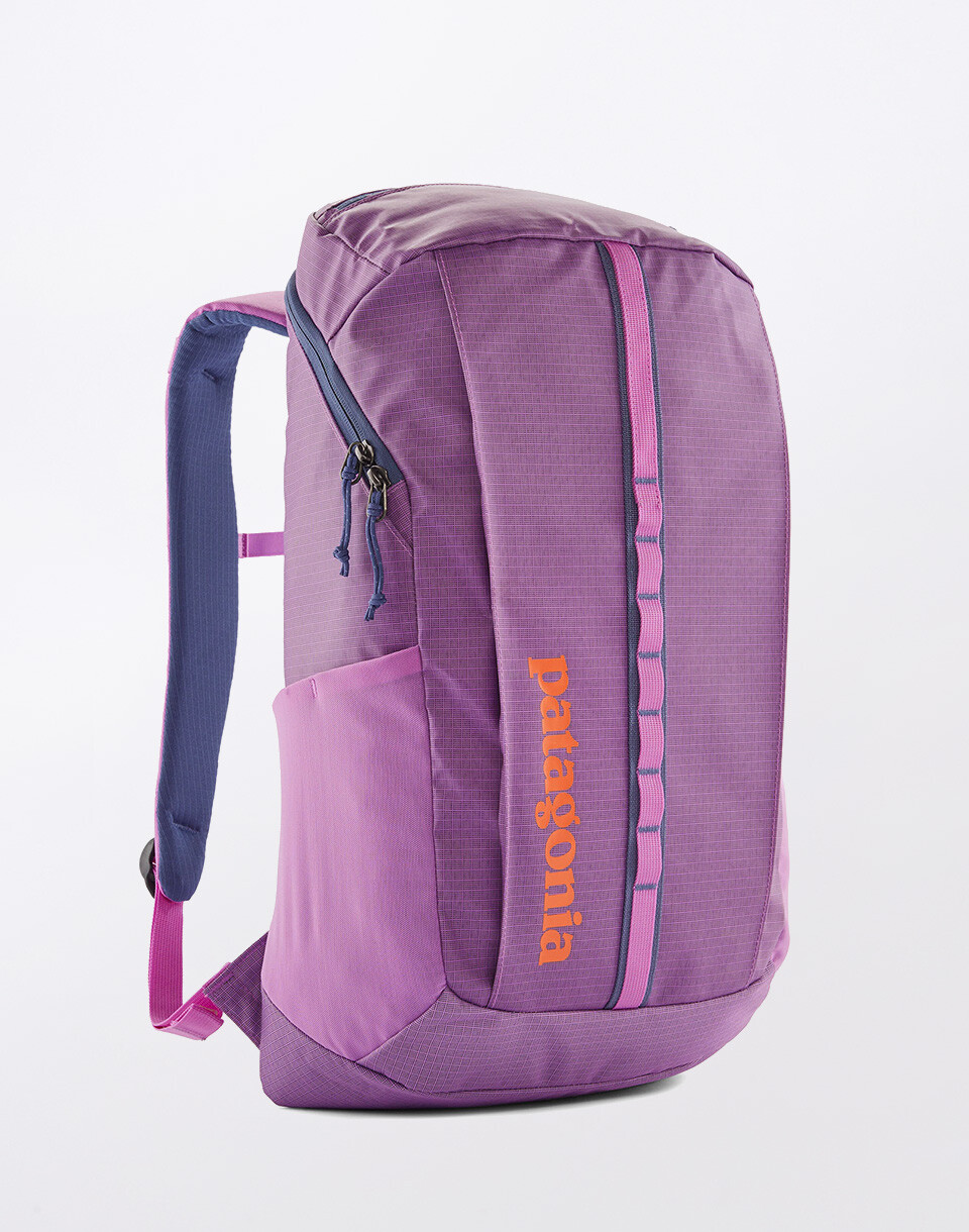 Patagonia Black Hole Pack 25L Brisk Purple
