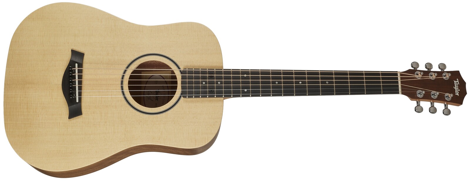 Taylor BT1e (použité)