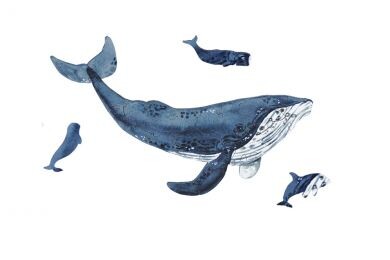 Mini dřevěné puzzle Velryba – By Epipi