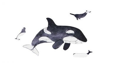 Mini dřevěné puzzle Kosatka – By Epipi