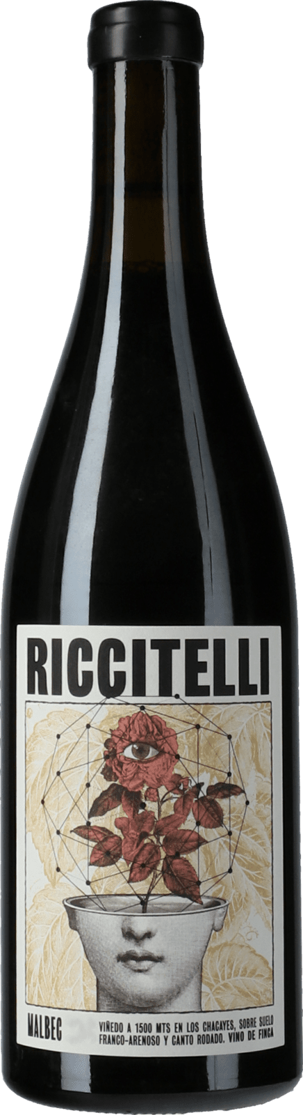 Matias Riccitelli Vinas Extremas Los Chacayes Malbec 2019