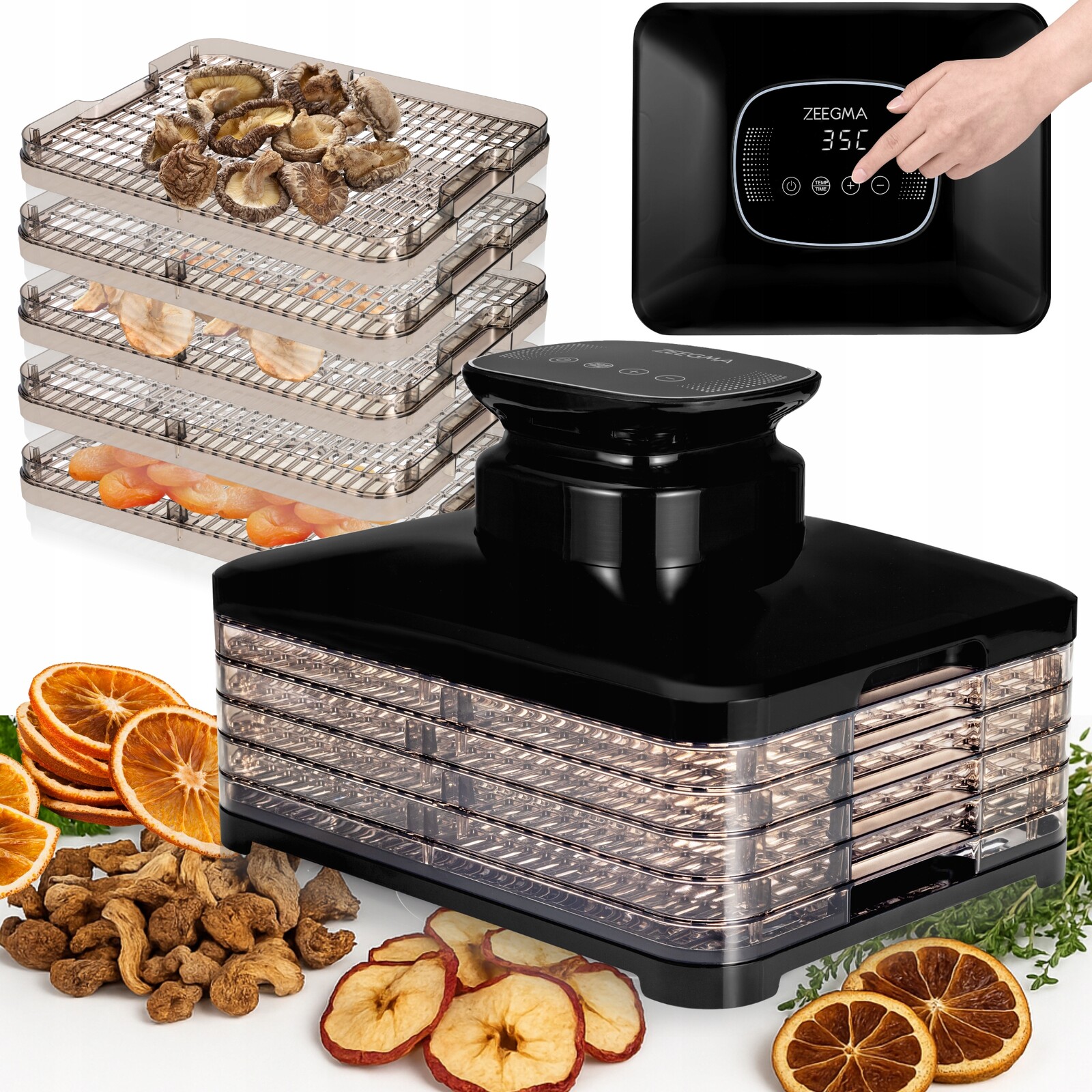 Sušička potravin Velká Sušička hub ovoce potravin 5sit Timer 400W