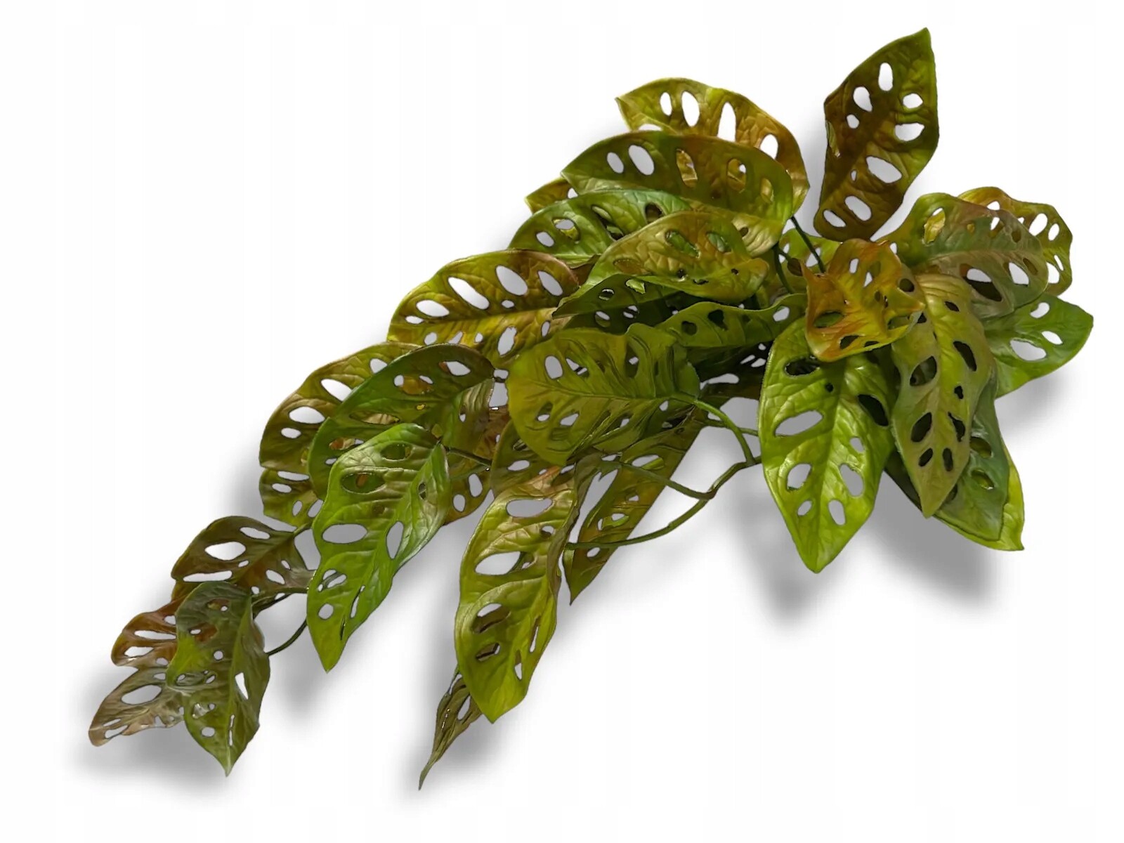 Umělá rostlina do terária převis Monstera 65 cm