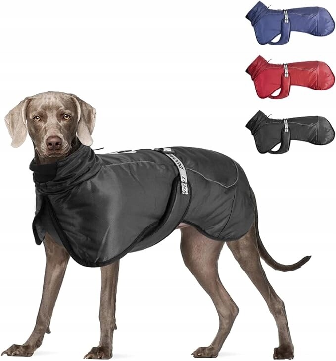 Oblečení pláštěnka pro psa zimní voděodolná, větruodolná černá XL