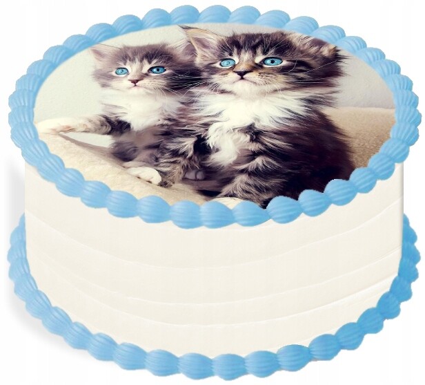 Oplatek na dort Dekorace Jídelní 20 cm Zvířata Kočka Narozeniny