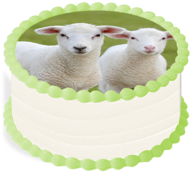 Oplatek na dort Dekorace Jídelní 20 cm Zvířata Farma Ovečka Ovce