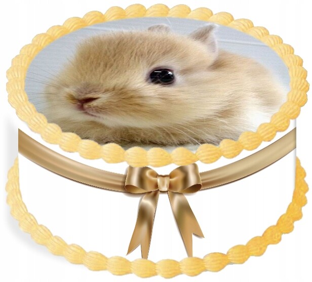 Oplatek na dort Dekorace Jídelna 20 cm Zvířata Králíček Narozeniny