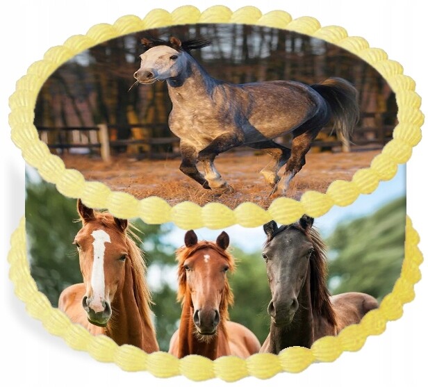 Oplatek na dort Dekorace Jídelní na dort 20 cm Zvířata Kůň Narozeniny