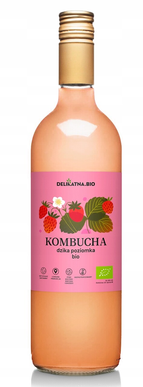Kombucha Levelová Bio 750 ml Jemná (kyselina)