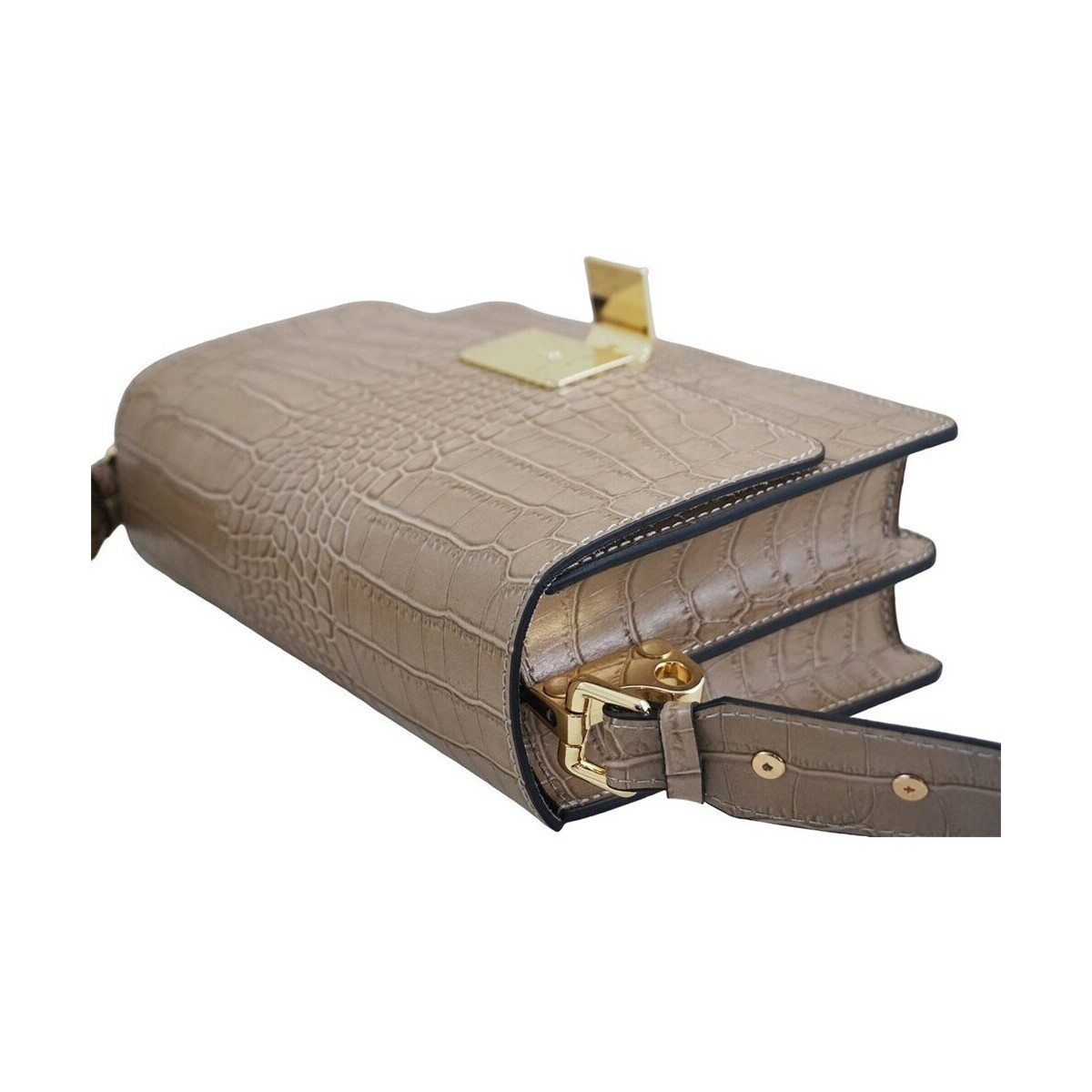 Barberini's  br23630  ruznobarevne