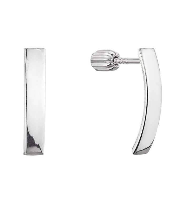 Evolution Group - Pavona Něžné stříbrné visací náušnice 61065