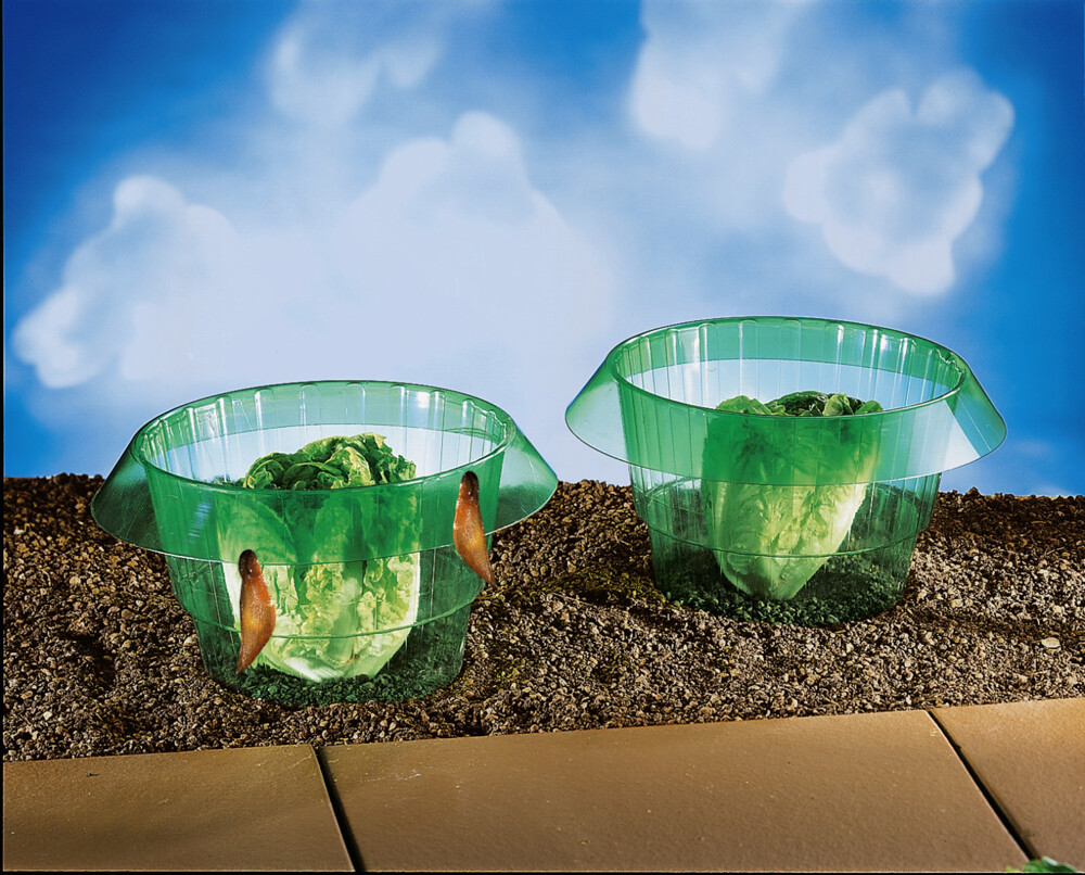 Die moderne Hausfrau Ochranný kryt na salát, 5 ks