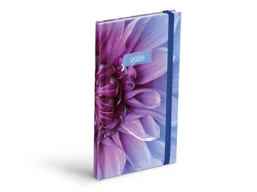 MFP 7781507 Diář 2026 T806 Lamino 1 s gumkou 90x170mm