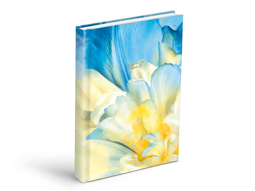 MFP 7781439 Diář 2026 D801 Lamino 3