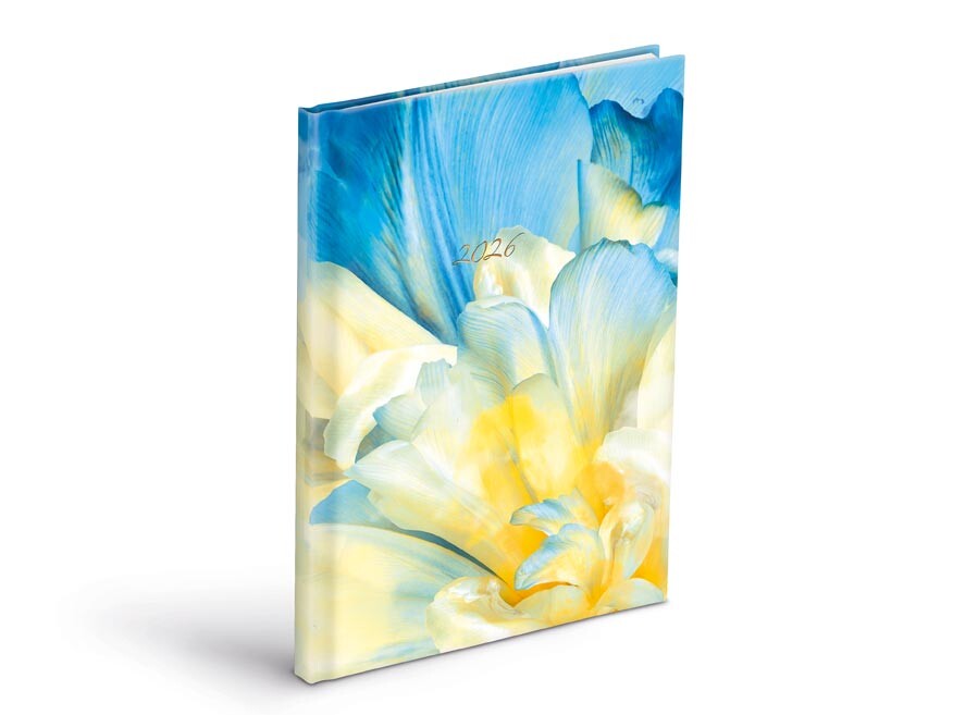 MFP 7781463 Diář 2026 T805 Lamino 3