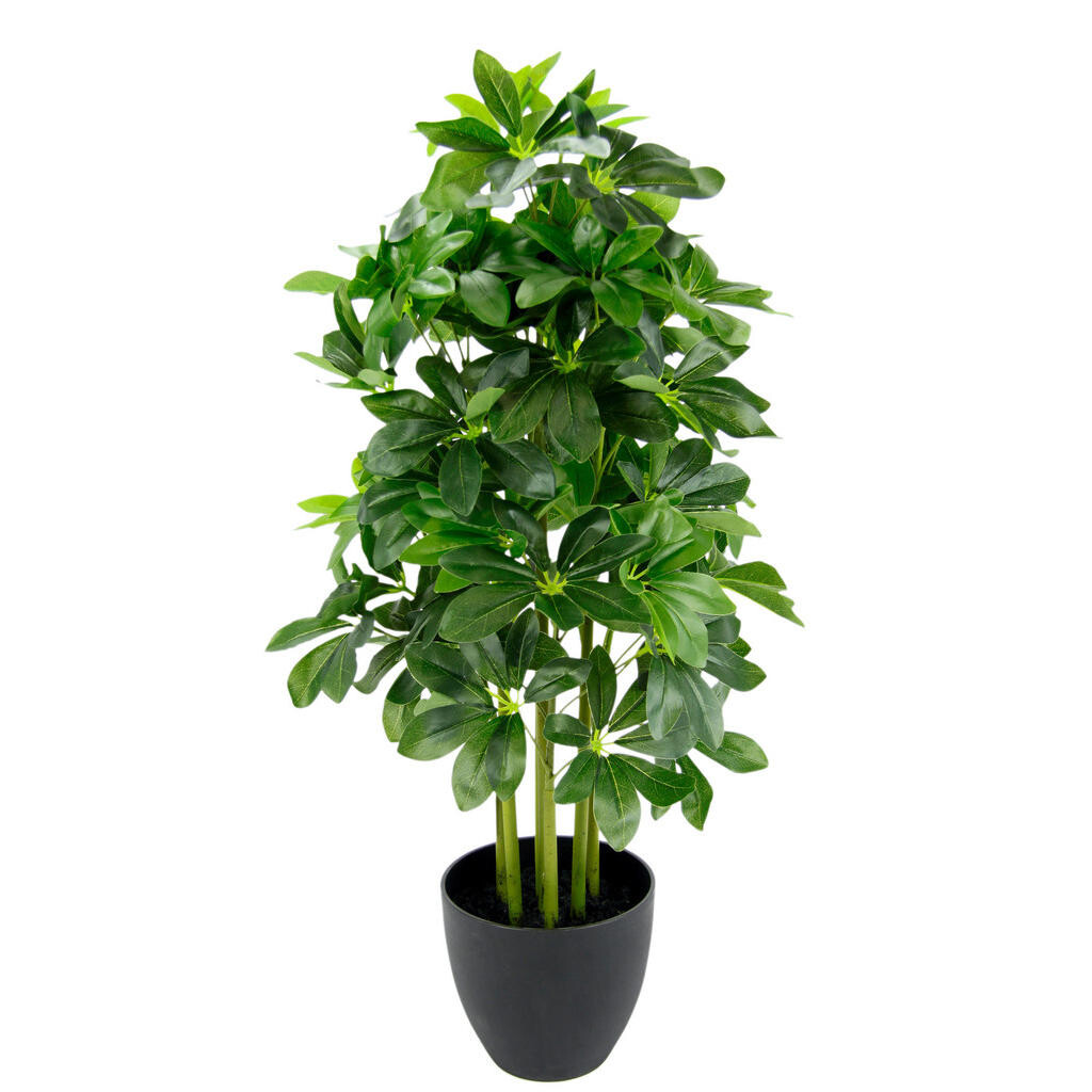 XXXL UMĚLÁ ROSTLINA 80 cm