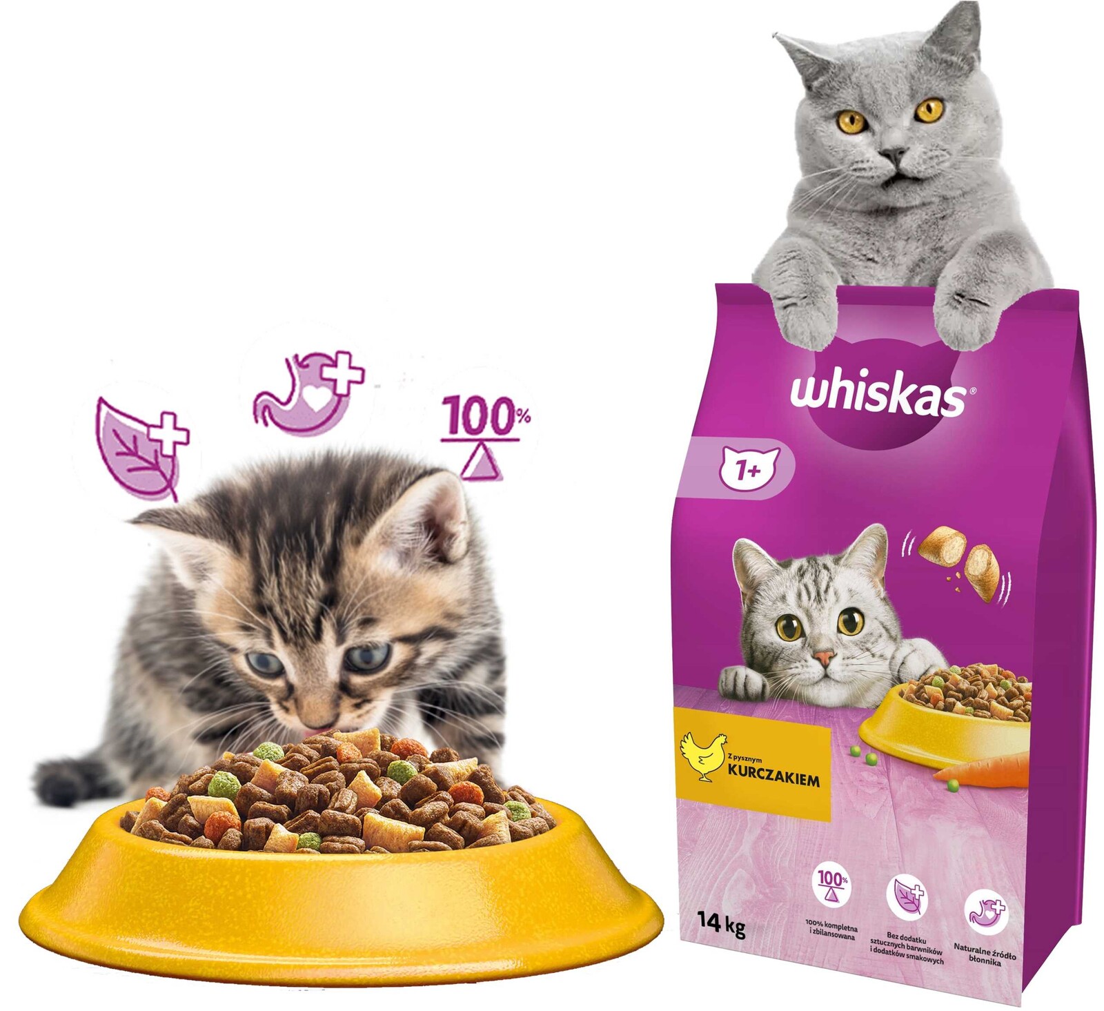 Whiskas Suché Krmivo Pro Koťata S Kuřecím Masem 14 Kg