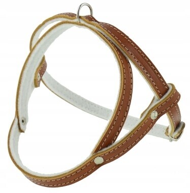 Kožený postroj pro psa podšitý filcem Lícová kůže 60 cm Champion Koniak