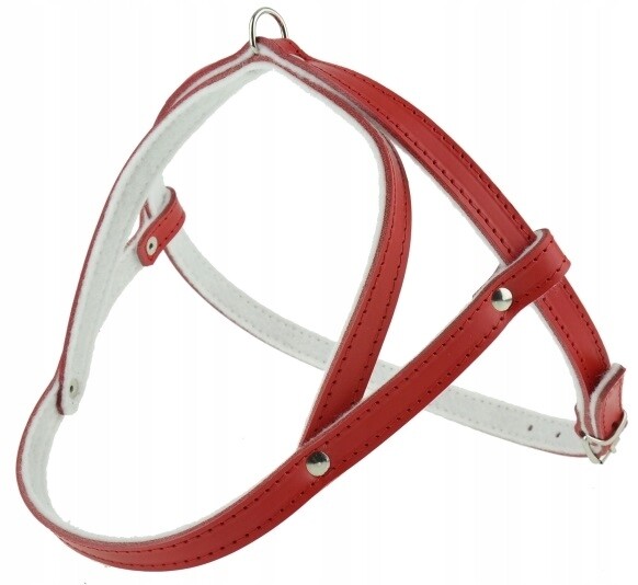 Kožený postroj pro psa podšitý filcem Lícová kůže 80 cm Champion Červená