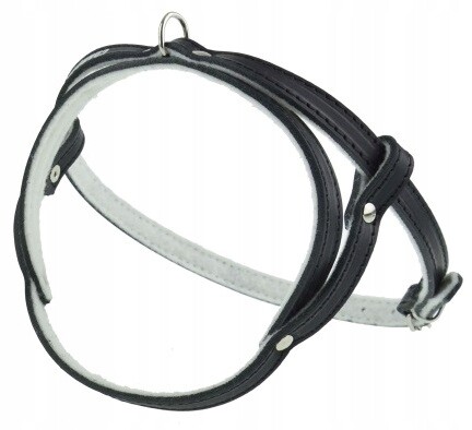Kožený postroj pro psa podšitý filcem Lícová kůže 75 cm Champion Černá