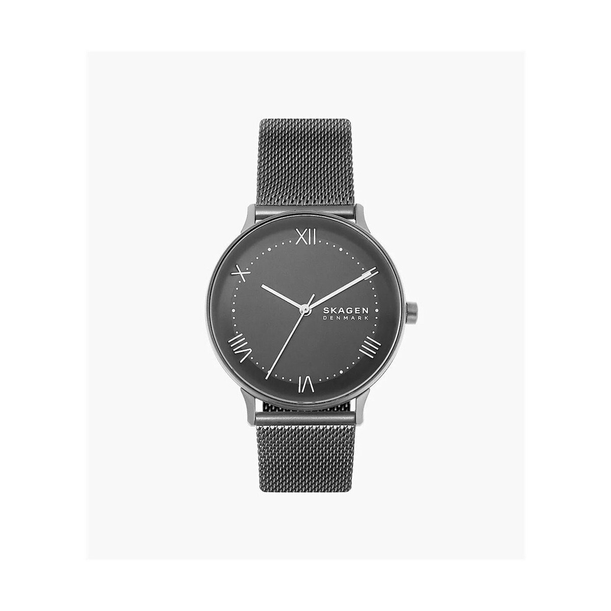 Skagen  skw6624  ruznobarevne