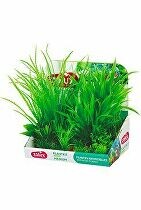 Rostliny akvarijní PLANTKIT 1 sada M Zolux