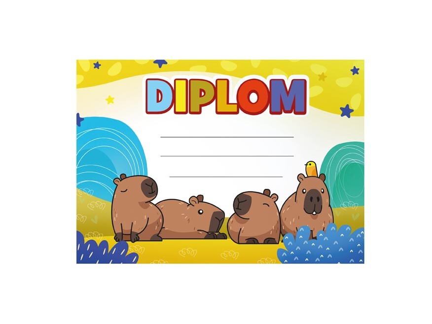 MFP 5301275 Dětský diplom A5 DIP05-012