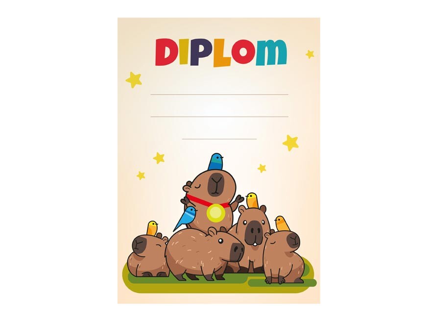 MFP 5301273 Dětský diplom A4 DIP04-017