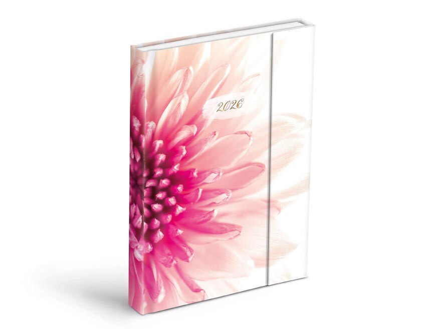 MFP 7781442 Diář 2026 D801 Lamino 2 s magnetem