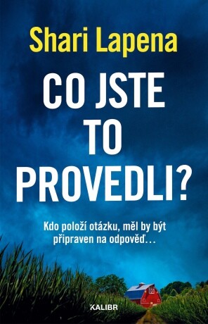 Co jste to provedli? - Shari Lapena - e-kniha