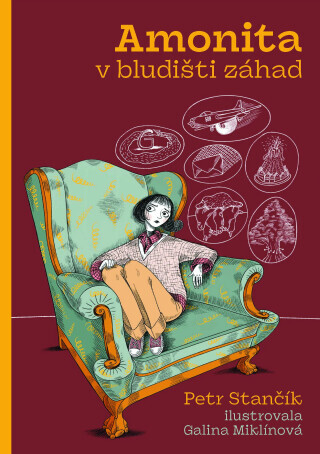 Amonita v bludišti záhad - Petr Stančík