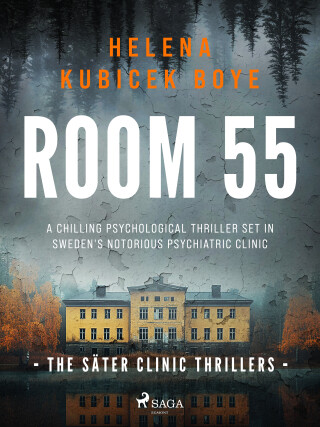 Room 55 - Helena Kubicek-Boye - e-kniha