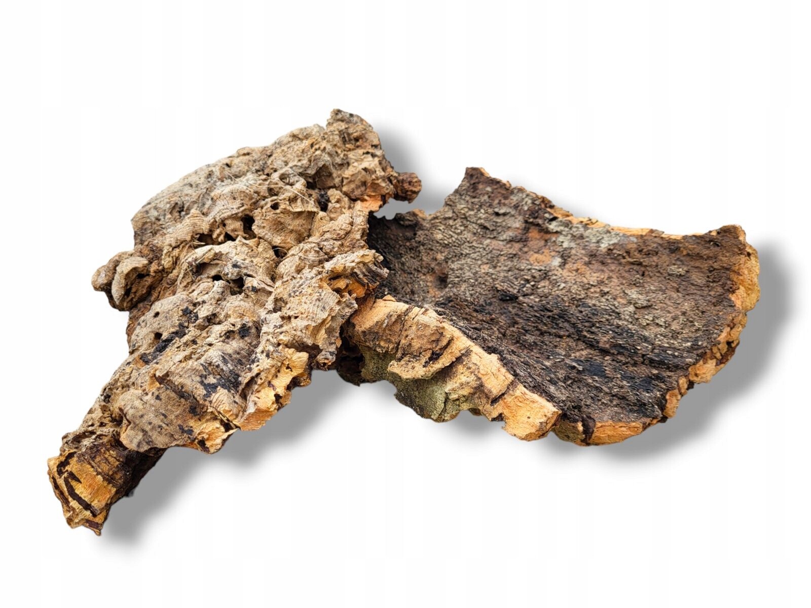 Plátky kůra korkového dubu Cork Bark Flats 1 kg Tq