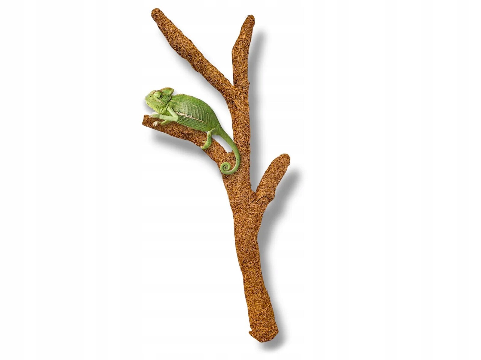 Kokosová větev do terária Coco Troncho 80 cm Tq