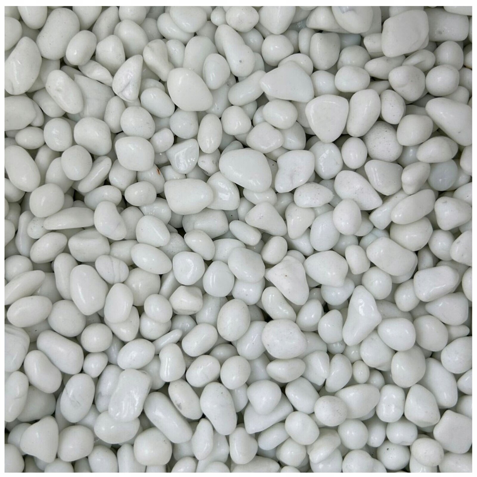 Oblázky Štěrk Do Akvarijního Terária Akvaristika Kameny Bílé 6-9 MM 5 Kg