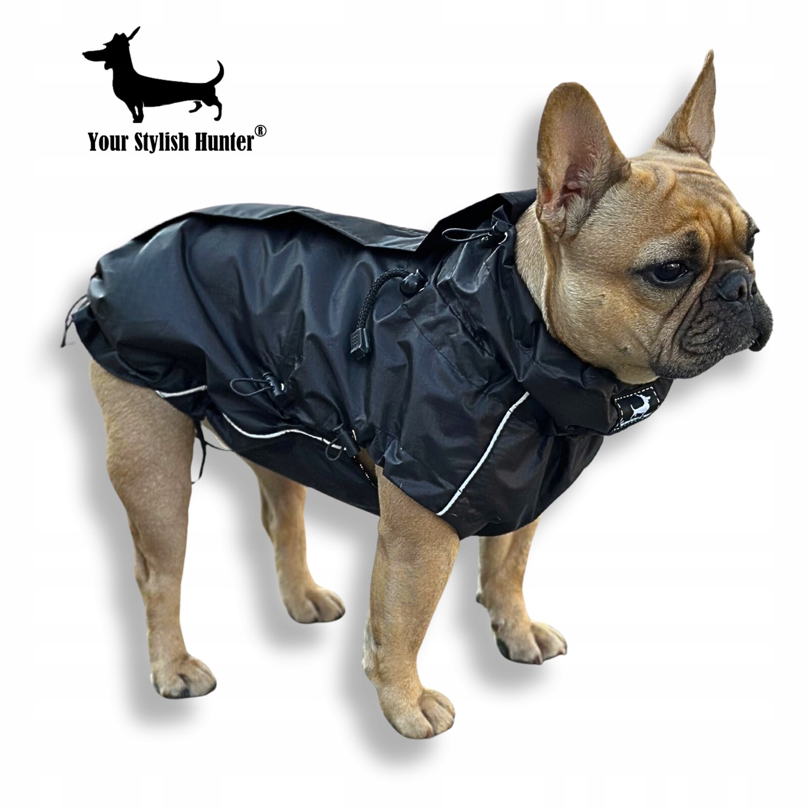 Pláštěnková bunda, oblečení pro psa francouzského buldočka S/m