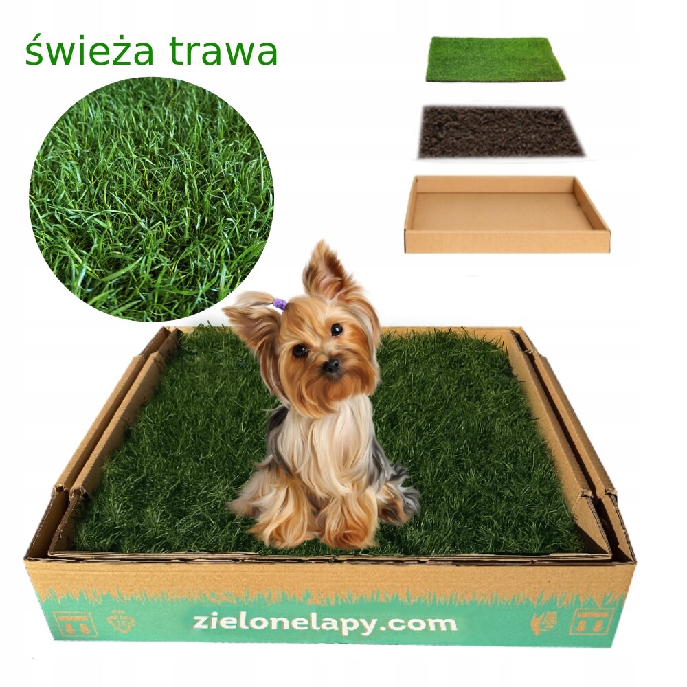 Toaleta pro psy z přírodní trávy 50x50 cm, toaleta