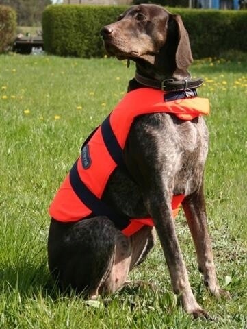 Zajišťovací Vesta Pro Psa Mazlíček L 2065