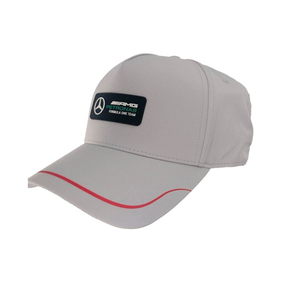 Puma  Mercedes Team  Šedá