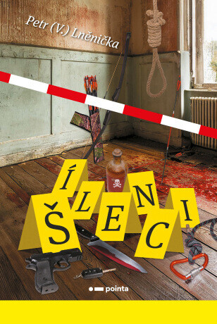 Šílenci - Petr (V.) Lněnička - e-kniha