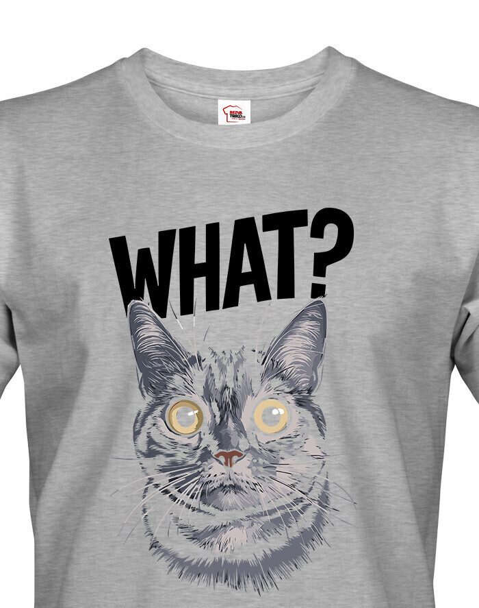 Pánské tričko What suprised cat