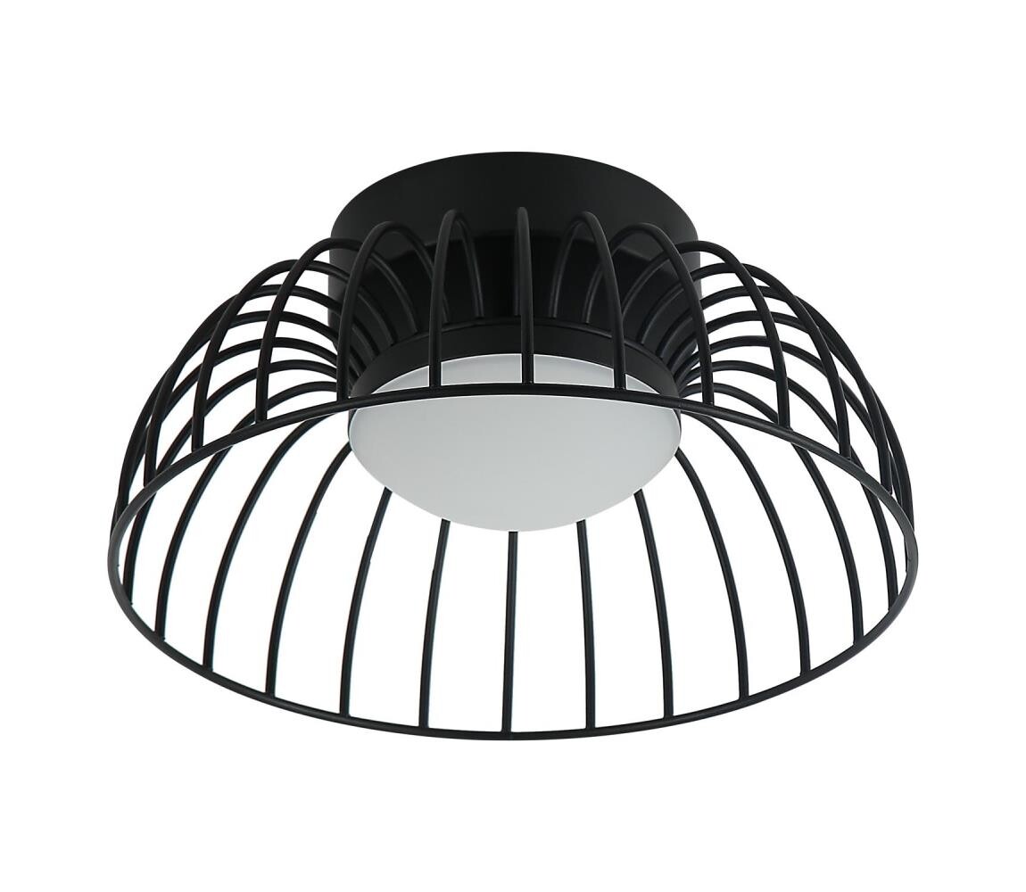 LED Stropní svítidlo BETSY LED/12W/230V pr. 25 cm černá