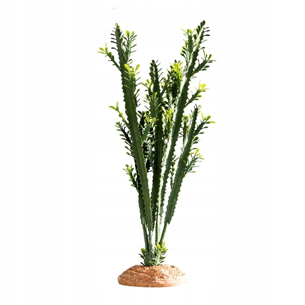 Hobby Euphorbia L 25x10x46 cm, dekorace do terária (37000)