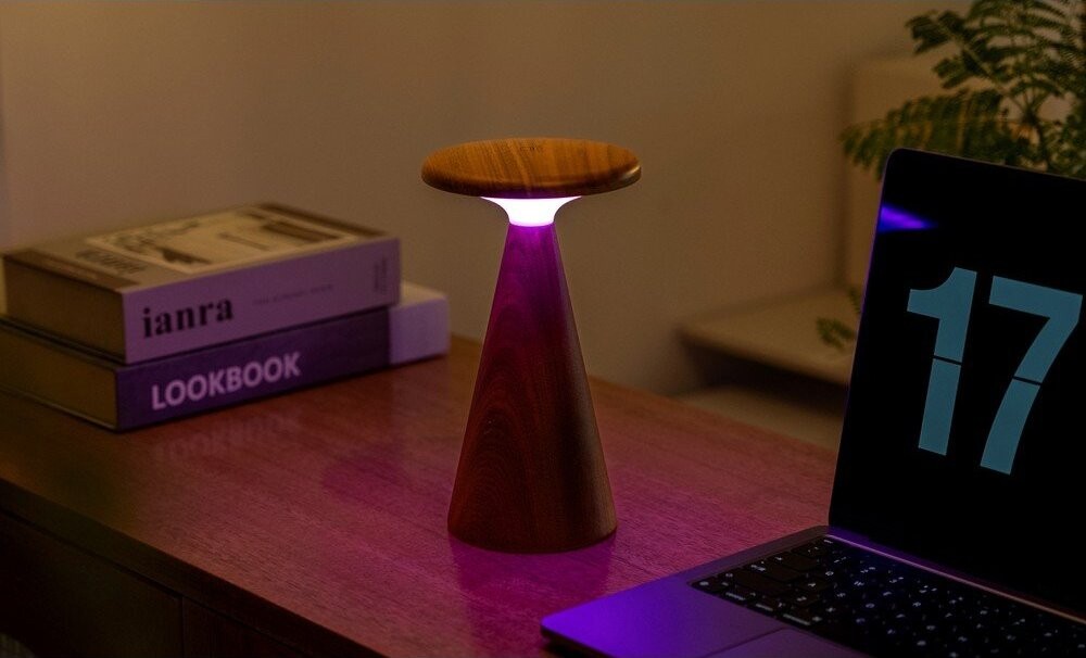 LED stolní lampa v tmavě přírodní barvě s dřevěným stínidlem (výška 21 cm) Sylva – Gingko