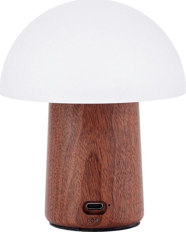 Bílá/v tmavě přírodní barvě LED stolní lampa (výška 12,5 cm) Alice Mushroom – Gingko